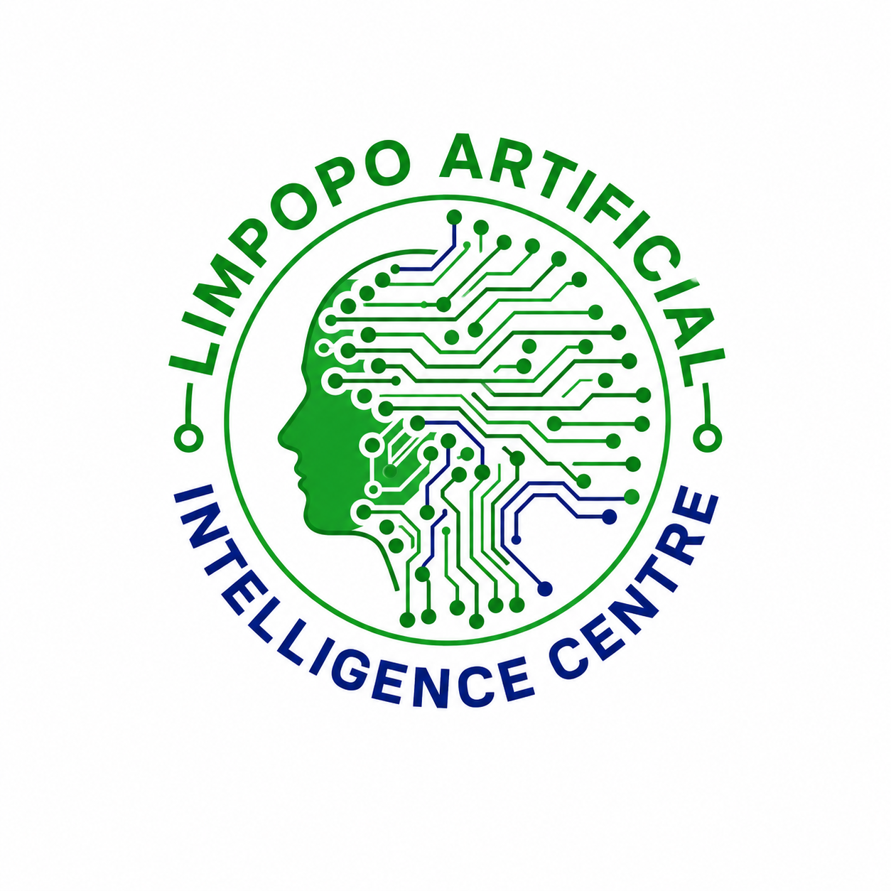 Limpopo AI Centre
